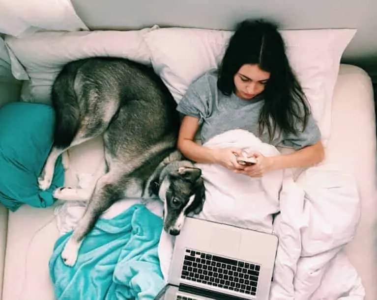 Girl using mobile phone and laptop while laying in bed with a dog with quarantine fatigue
